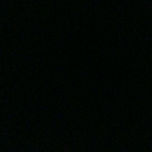 Meet your Posher, Ty